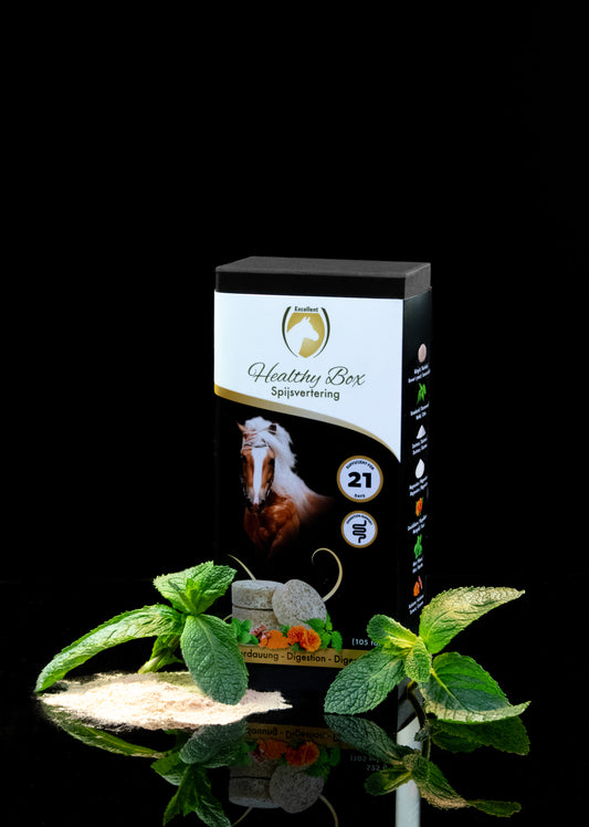 Excellent Horse Healthy Box Verdauung