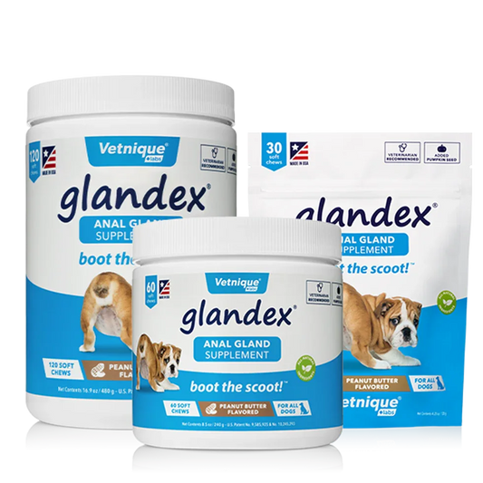 Glandex Soft Chew 240 g (60 pcs)