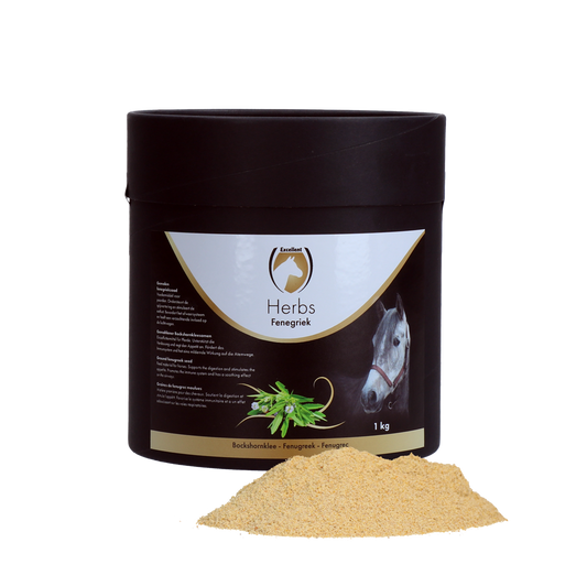 Excellent Herbs Bockshornklee