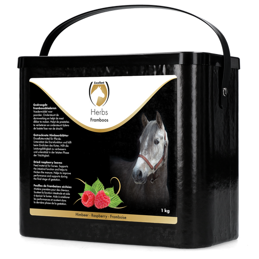 Excellent Herbs Himbeere