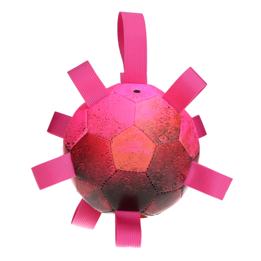 Dog Comets Hypernova Rosa