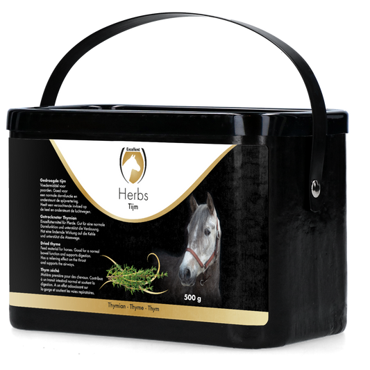 Excellent Herbs Thymian