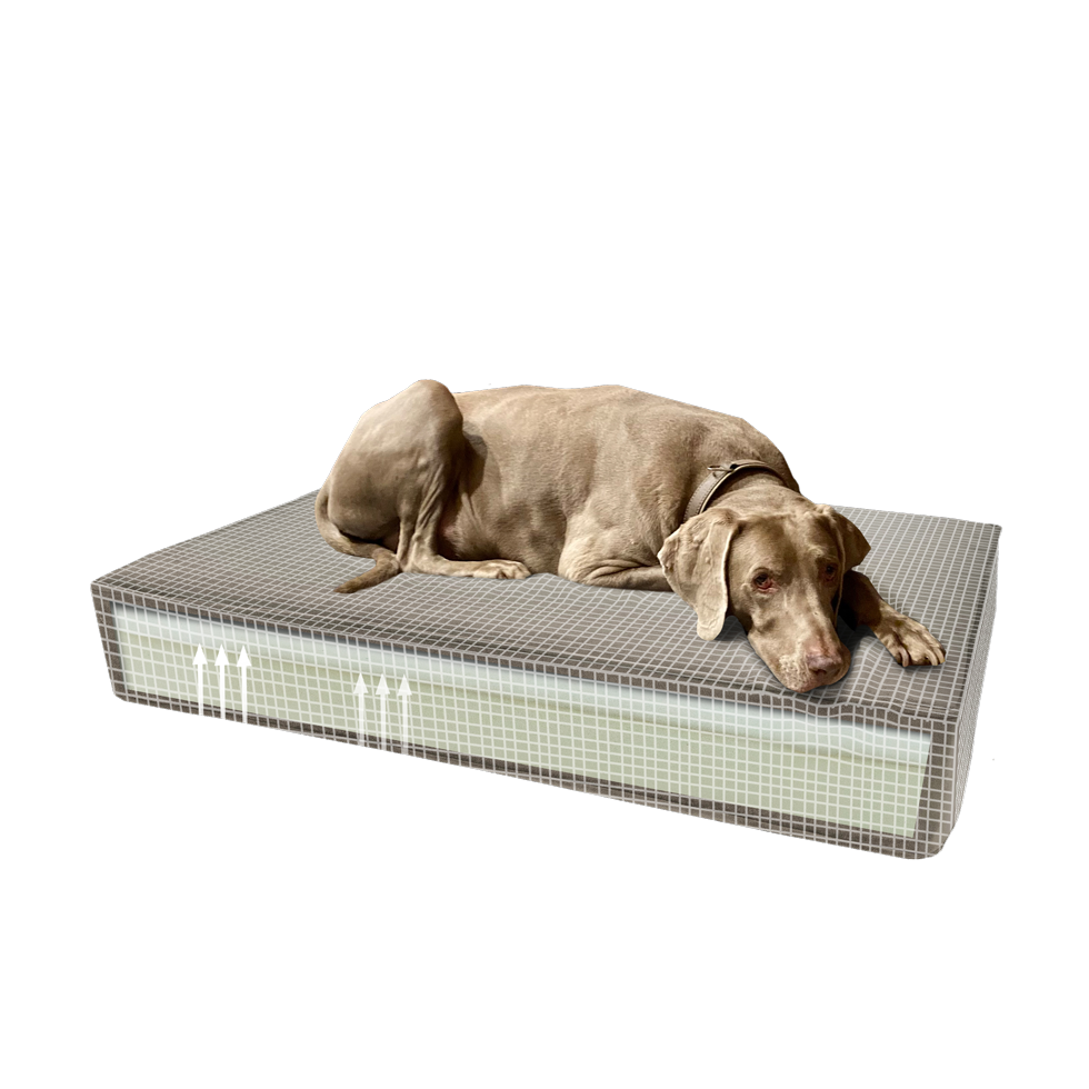 Madison Orthopädisches Kissen 45 x 55 taupe