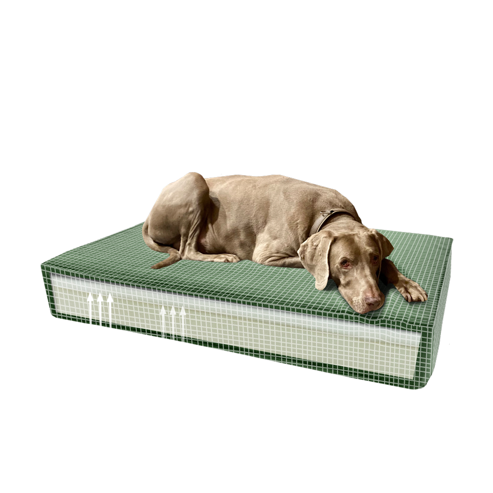 Madison Orthopädisches Kissen Velvet grün S