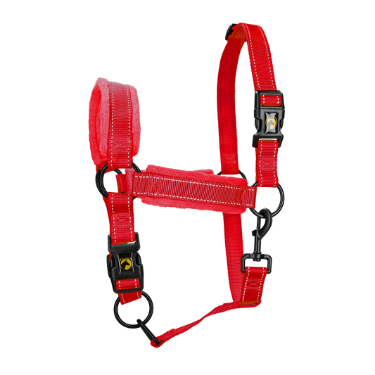 Excellent Horse Superior Halfter XL Full Rot