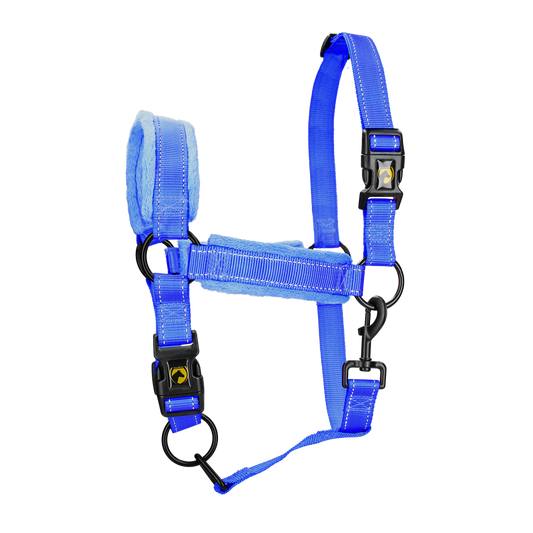 Excellent Horse Superior Halfter L Cob Blau