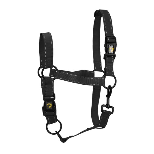 Excellent Horse Premium Halfter XL Full Schwarz
