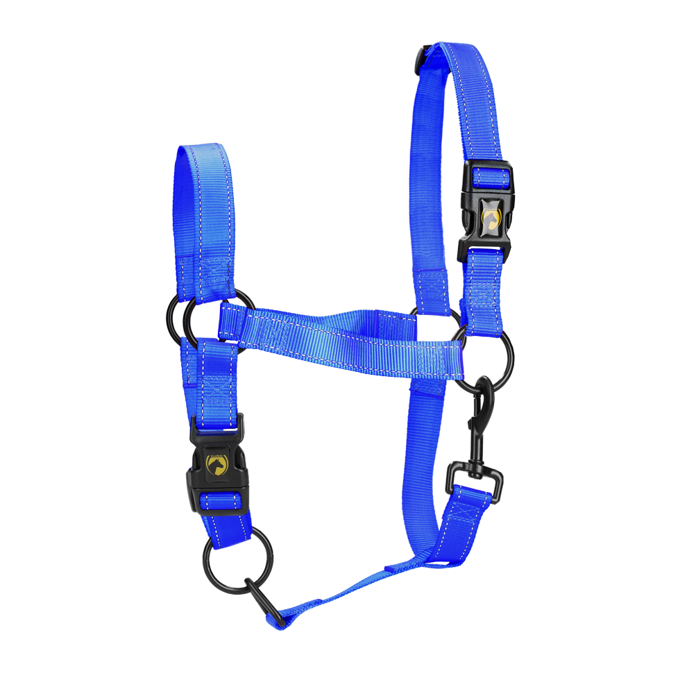 Excellent Horse Premium Halfter M Pony Blau