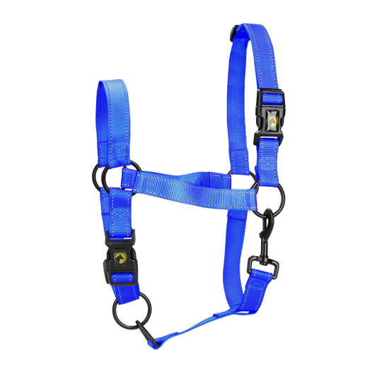 Excellent Horse Premium Halfter L Cob Blau