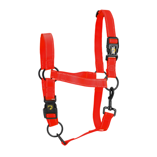 Excellent Horse Premium Halfter XL Full Rot