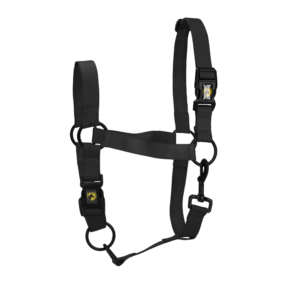 Excellent Horse Essential Halfter M Pony Schwarz