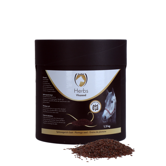 Excellent Herbs Spitzwegerich-Saat (Psylliumzaad)