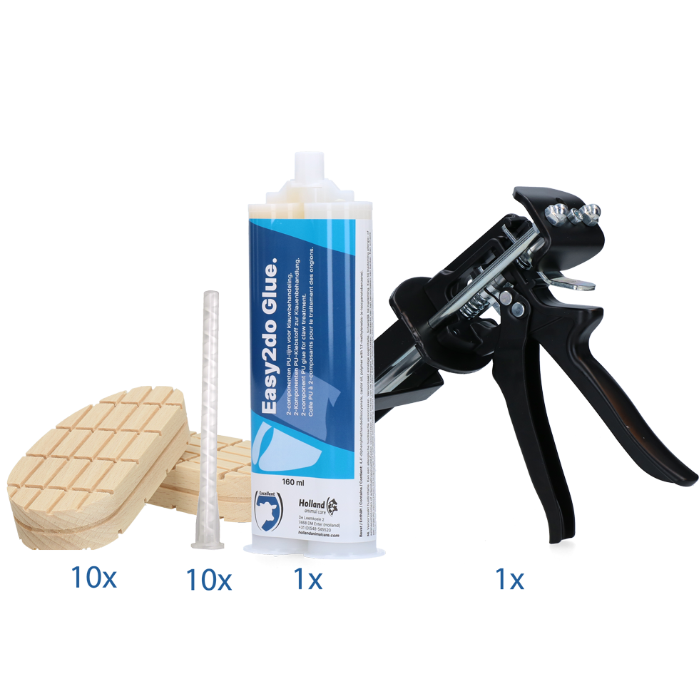 Startpaket Easy2do Kleber 160 ml 10 Anw.