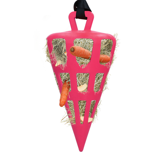 Hay Slowfeeder Fun and Flex 22 cm Rosa Karotte