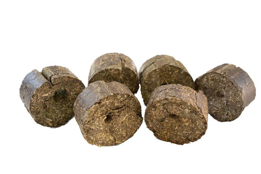 Lax Luzerne Block mit Loch für Pferde