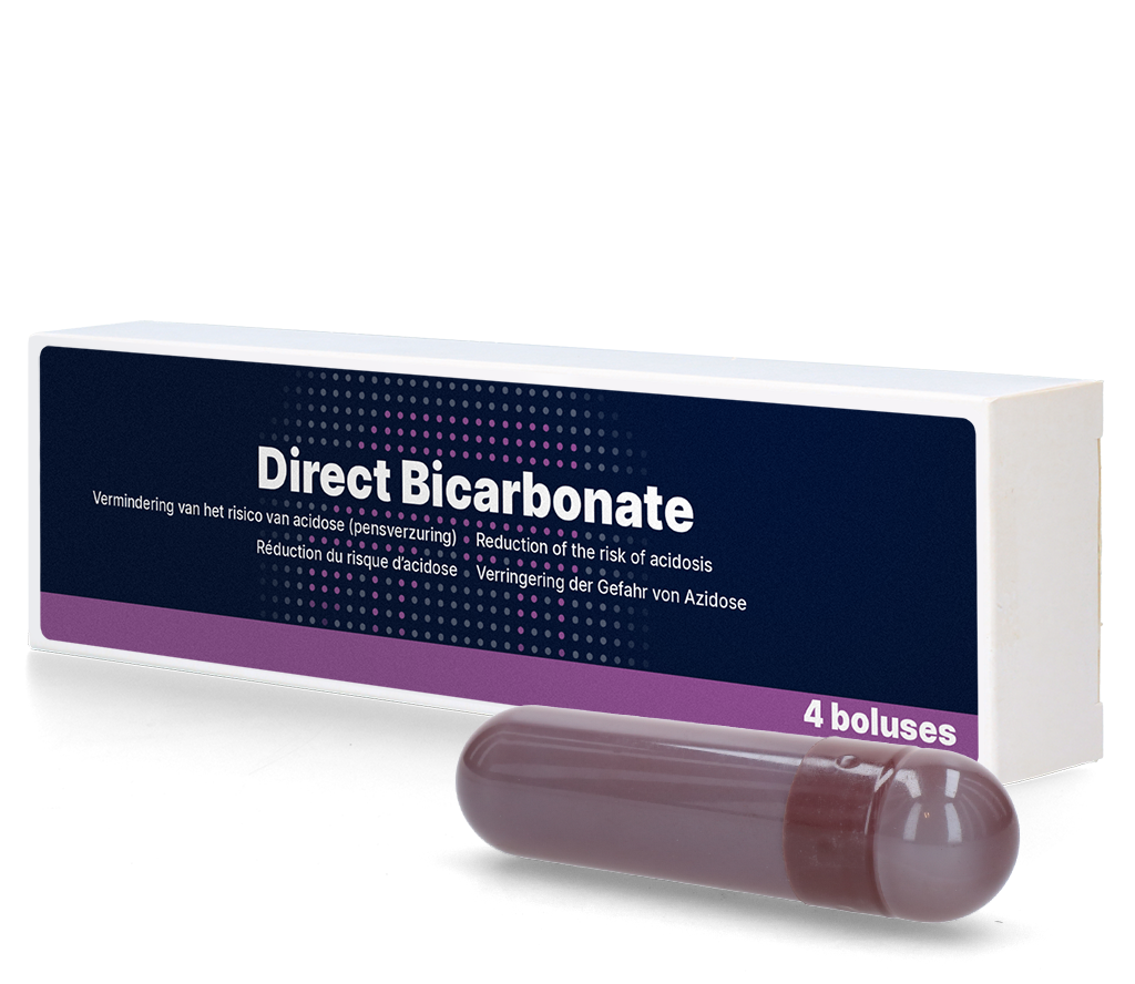 Direct Bikarbonat-Bolus