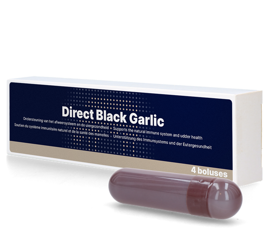 Direct Schwarzer Knoblauch Bolus