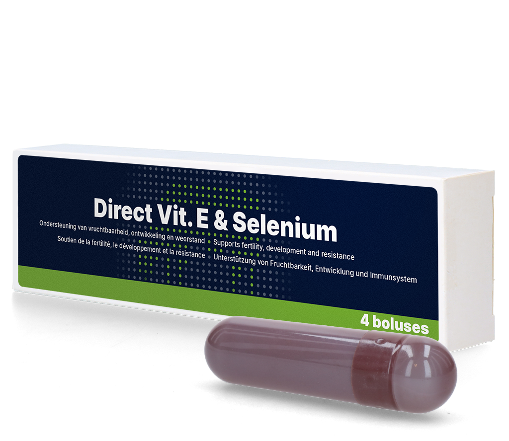 Direct Vitamin E + Selen Bolus