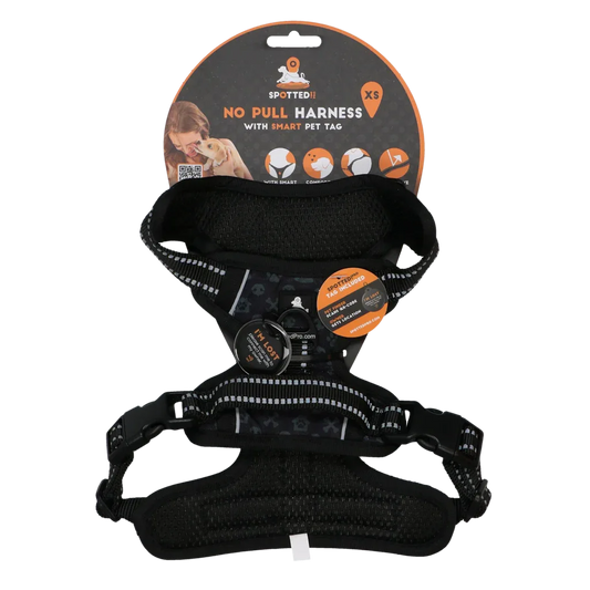 Spotted! PRO Geschirr Anthrazit XS