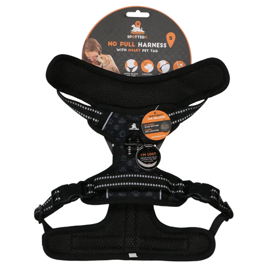 Spotted! PRO Geschirr Anthrazit S