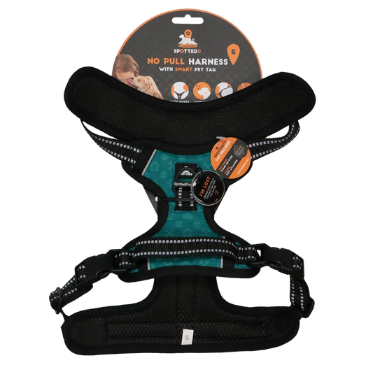 Spotted! PRO Geschirr Grun S