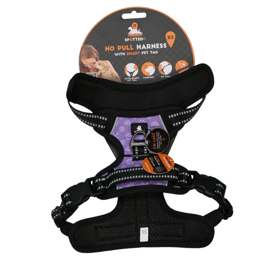 Spotted! PRO Geschirr Lila XS