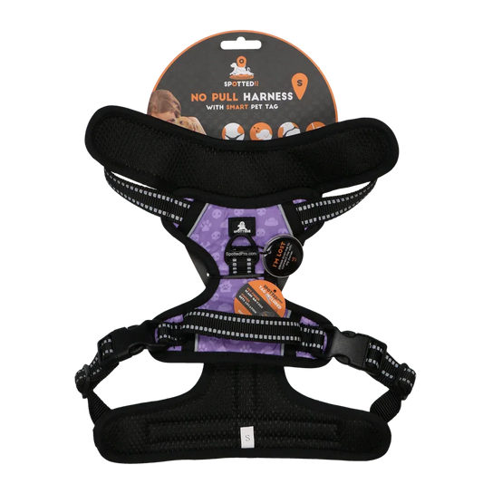 Spotted! PRO Geschirr Lila S