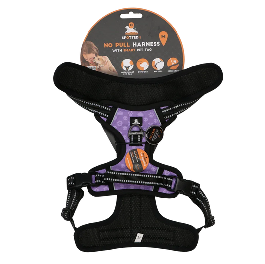 Spotted! PRO Geschirr Lila M