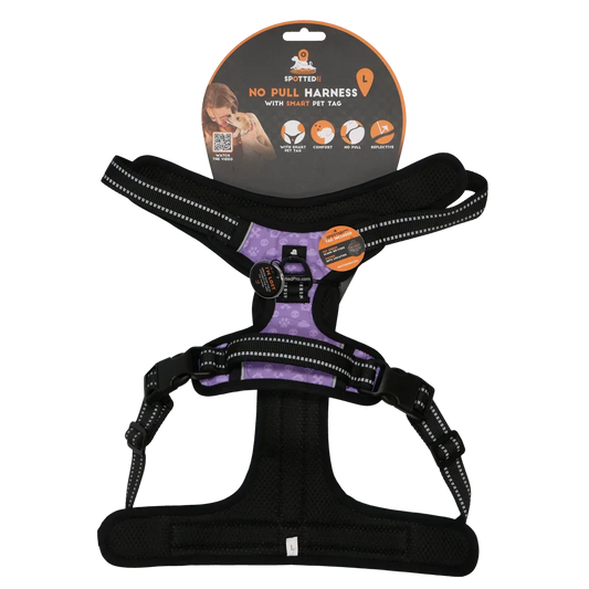 Spotted! PRO Geschirr Lila L