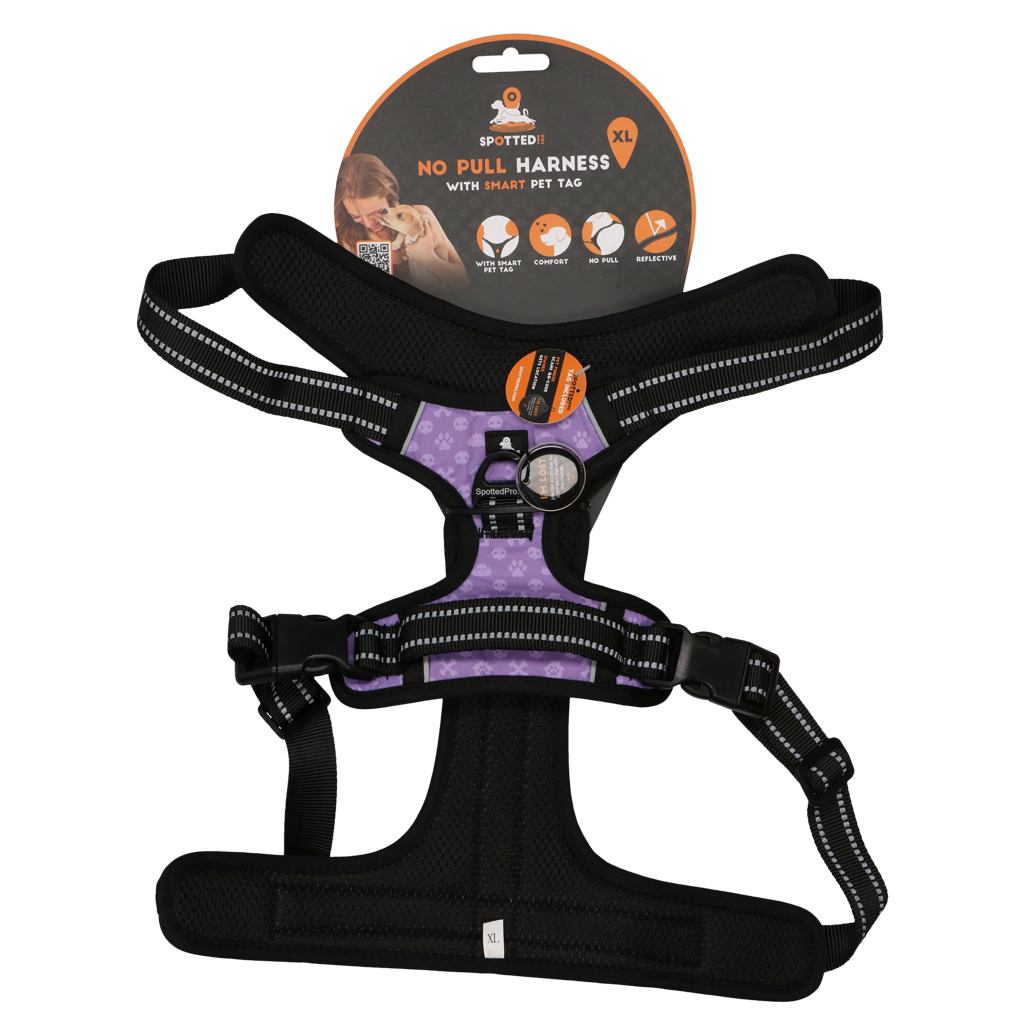 Spotted! PRO Geschirr Lila XL