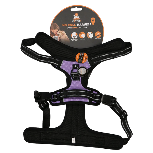 Spotted! PRO Geschirr Lila XL