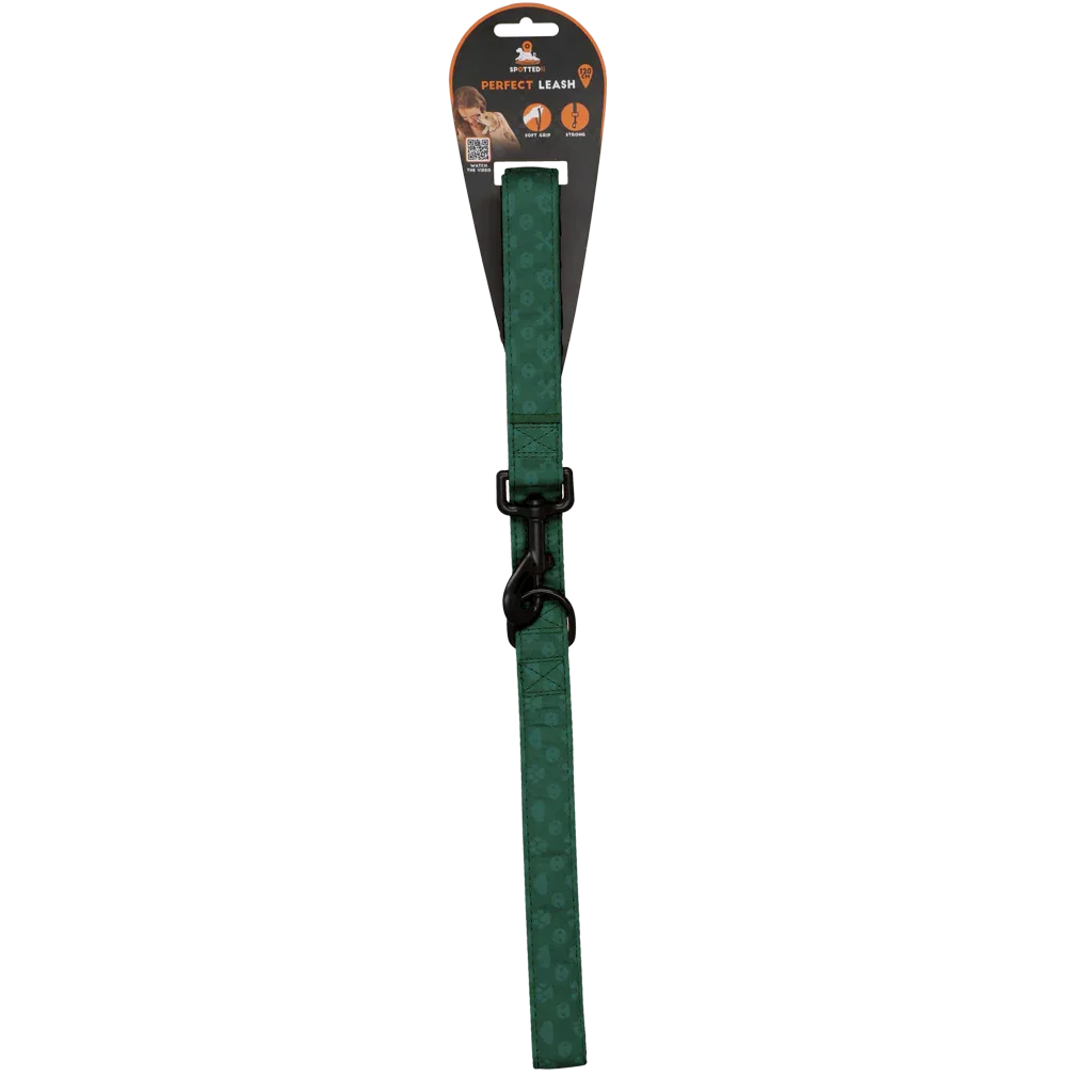 Spotted! PRO Leine Grun 120cm - PremiumHobby