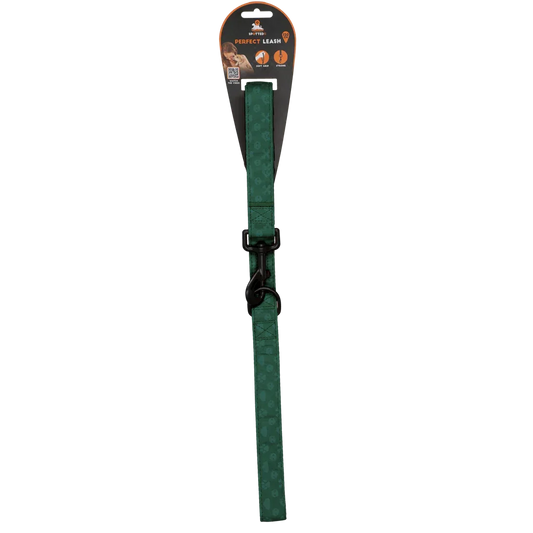 Spotted! PRO Leine Grun 120cm