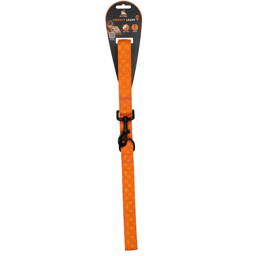 Spotted! PRO Leine Orange 120cm - PremiumHobby