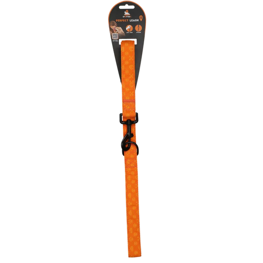 Spotted! PRO Leine Orange 120cm