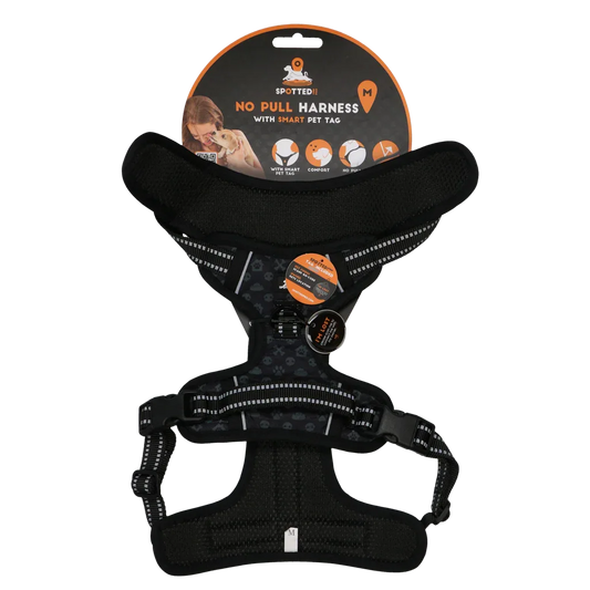 Spotted! PRO Geschirr Anthrazit M