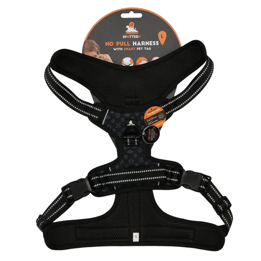 Spotted! PRO Geschirr Anthrazit L