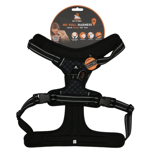 Spotted! PRO Geschirr Anthrazit XL