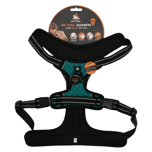 Spotted! PRO Geschirr Grun XL