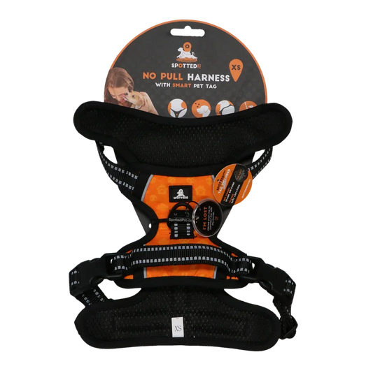 Spotted! PRO Geschirr Orange XS