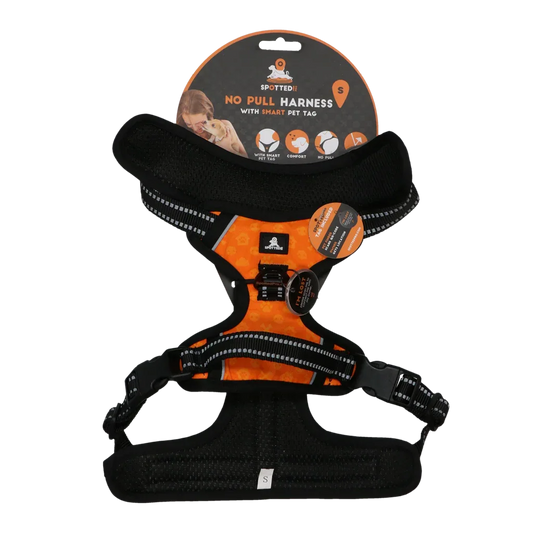 Spotted! PRO Geschirr Orange S