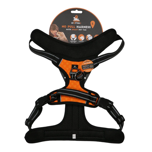 Spotted! PRO Geschirr Orange L