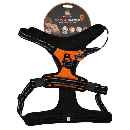 Spotted! PRO Geschirr Orange XL