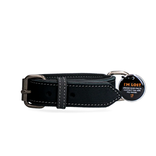 Spotted! Pro Lederhalsband Schwarz 2,5x40cm