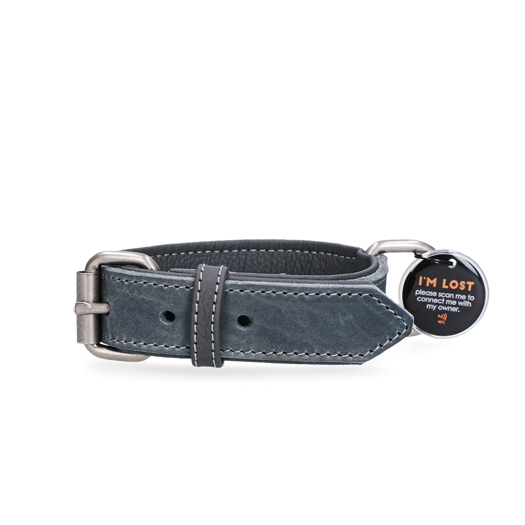 Spotted! Pro Lederhalsband Grau 2,5x40cm - PremiumHobby