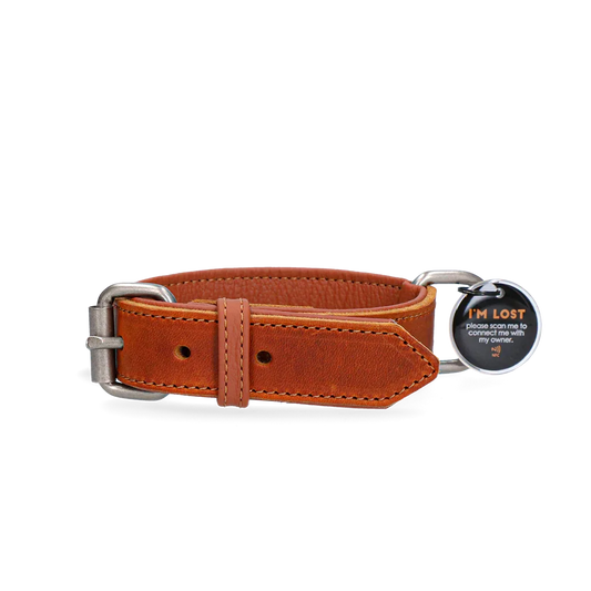 Spotted! Pro Lederhalsband Cognac 2,5x40cm