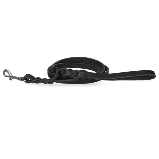 Spotted! Pro Leder Führleine Schwarz Bolzenhaken 1,6x180cm