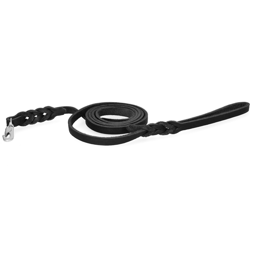 Spotted! Pro Leder Führleine Schwarz Klipphaken 1,8x180cm - PremiumHobby