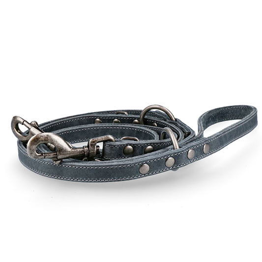 Spotted! Pro Leder Trainingsleine Grau 1,6x250cm