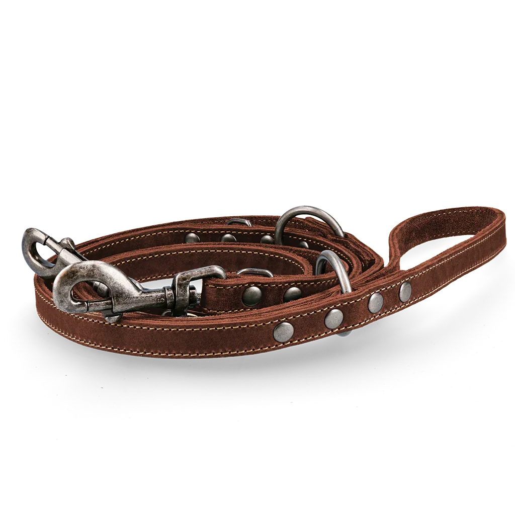 Spotted! Pro Leder Trainingsleine Braun 1,6x250cm - PremiumHobby